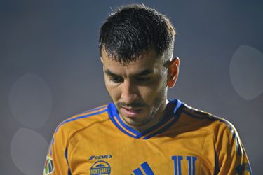 WK-winnaar (30) vlucht met dochtertje voor gevaarlijk wild dier, kenners kritisch na zien van beelden