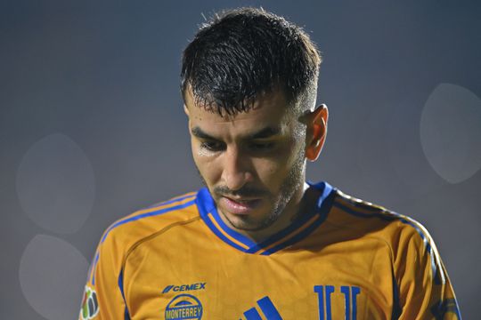 WK-winnaar (30) vlucht met dochtertje voor gevaarlijk wild dier, kenners kritisch na zien van beelden