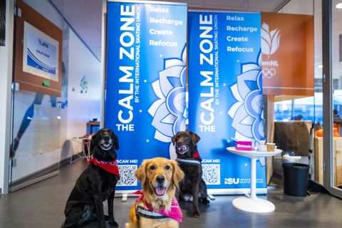 Vertederende beelden bij World Cup in Thialf: schaatstoppers knuffelen op 'veilige en kalme plek'
