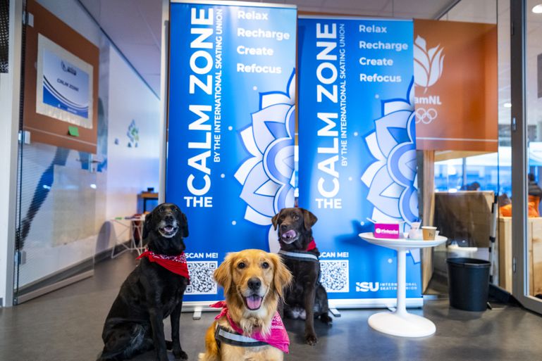Vertederende beelden bij World Cup in Thialf: schaatstoppers knuffelen op 'veilige en kalme plek'