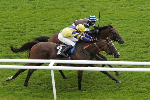 Shock in sportwereld: cokesnuivende 26-jarige zit vast op verdenking van doodslaan 71-jarige pensionado