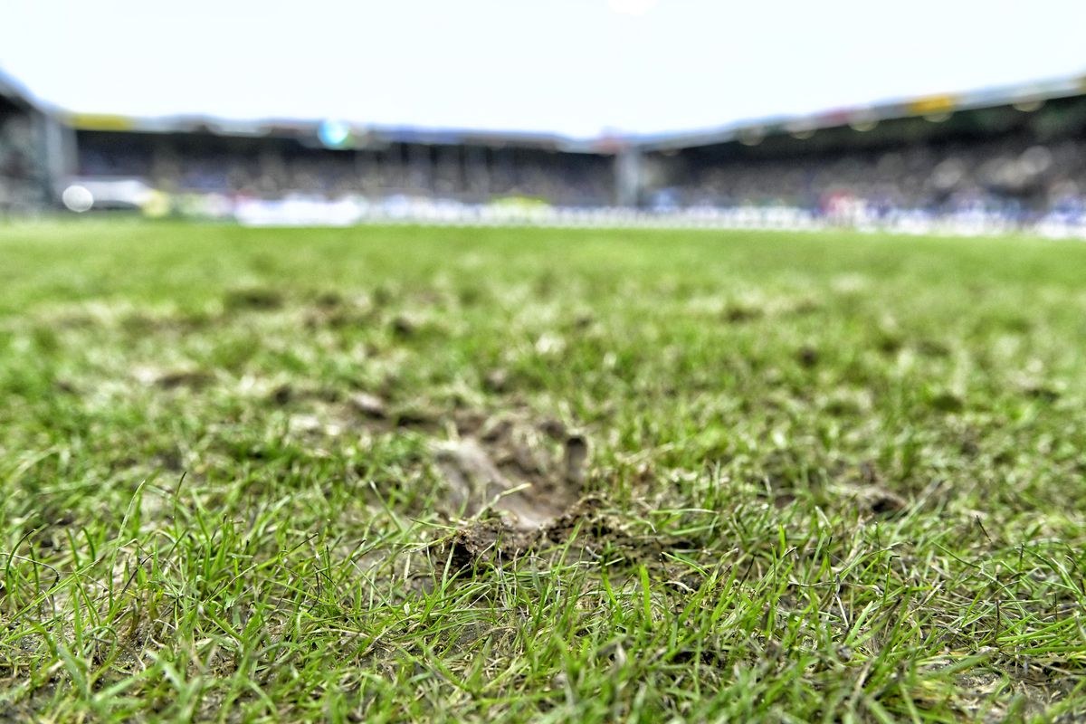 Fortuna Sittard zegt sorry tegen Ajax en schakelt direct door naar Feyenoord: 'Je maakt jezelf als club belachelijk'