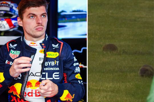 Max Verstappen schrikt zich rot tijdens Grand Prix van Canada: 'Oh mijn god, is dat een dier?'