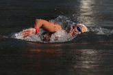 Sharon van Rouwendaal zwemt in de smerige Seine naar goud. © Getty Images