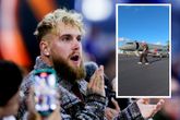 Jake Paul heeft tientallen miljoenen uitgegeven aan een privévliegtuig. ©Getty Images/Instagram, beeldbewerking Sportnieuws.nl.