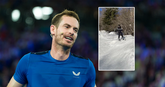 Andy Murray en zijn ski-avonturen. © Getty Images en X