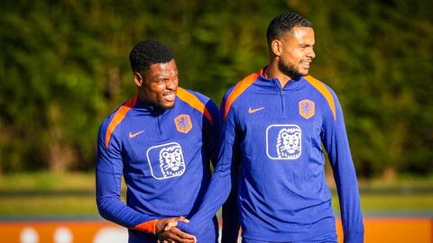 Cody Gakpo krijgt dringend advies over 'gevaarlijkste man van Oranje': 'Dan gaan we ongelooflijk veel lol hebben dit WK'