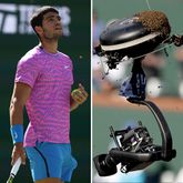 Carlos Alcaraz en de bijenzwerm © Getty Images, beeldbewerking Sportnieuws.nl