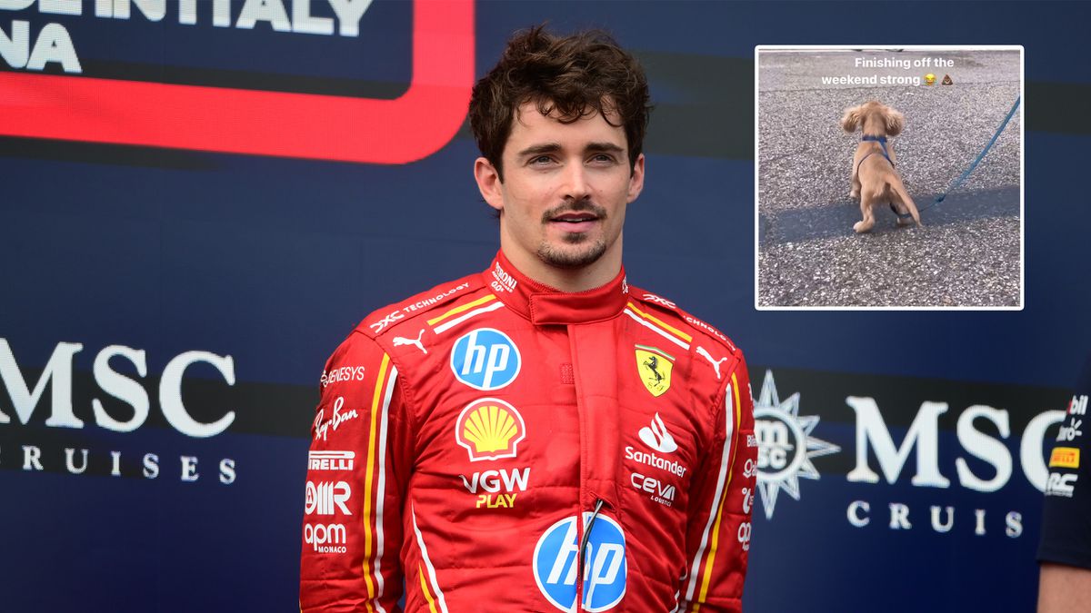 Charles Leclerc krijgt hulp bij poepscheppen in de paddock: 'Ik heb geen plastic zakje'