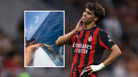 Topvoetballer (25) ligt onder vuur na gevecht met haai: 'Schaam je!'