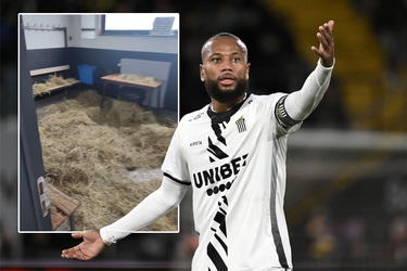 'Eet smakelijk, geiten': fans Charleroi dumpen stro in kleedlokaal spelers