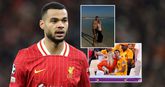 Dit is Cody Gakpo: ster van Oranje en Liverpool, papa van zoontje en transfer in Gods handen