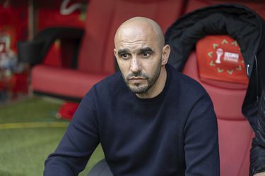 Marokko droomt van sensationele bondscoach op WK voetbal als opvolger van Walid Regragui