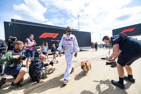 Verbazing om Lewis Hamilton en de omgang met zijn hond Roscoe: 'Extreem gevaarlijk'