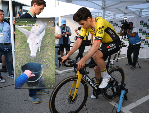 Wout van Aert dolblij met nieuw bijzonder huisdier: 'Maak kennis met Pommelien'