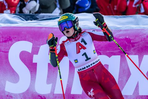 Tientallen valpartijen schokken topskiester, speciale snoepjes helpen haar kalmeren: 'Ik was bang'