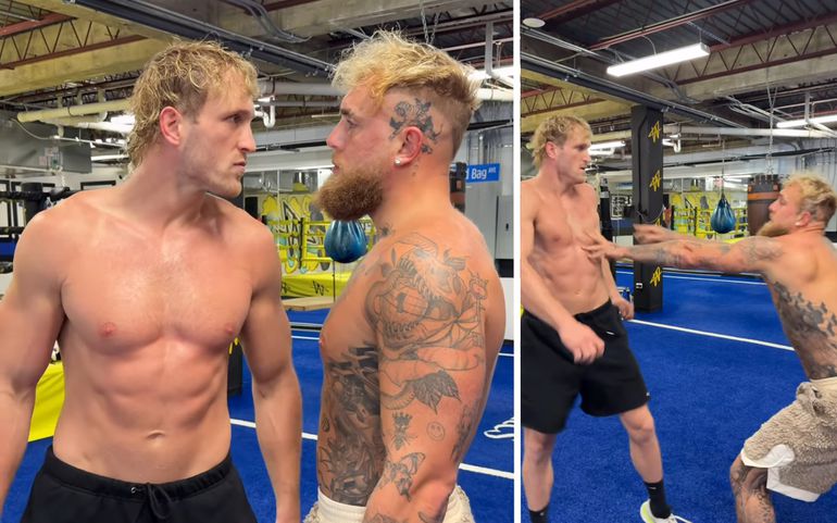 Broers Logan en Jake Paul halen met 'intense' staredown bloed onder de nagels bij fans vandaan: 'Nep'