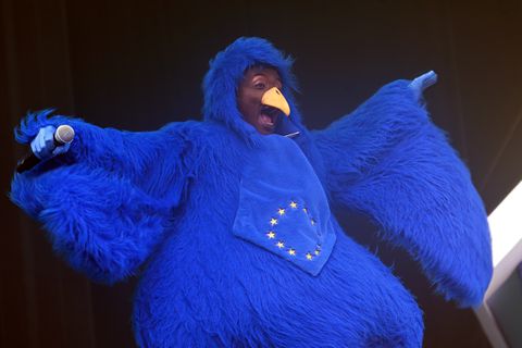 Bijzonder bezoek voor Oranje tijdens WK voetbal: bekende blauwe vogel duikt op