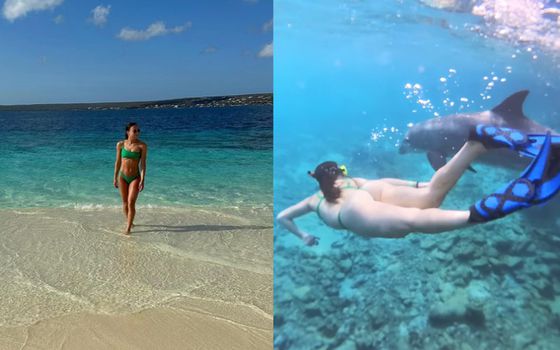 Femke Kok straalt op vakantie in groene bikini, schaatscollega Marrit Fledderus zwemt met dolfijn