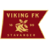 Logo Viking U19