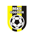 MKS Gogolin
