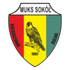 Sokol K. Dolna (W)