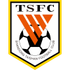 Shandong Taishan B