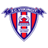 FC Viikingit