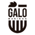 Galo Maringa