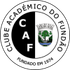 Academico do Fundao logo