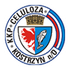 Celuloza Kostrzyn
