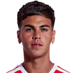 Enzo Barrenechea