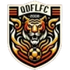 Qingdao Fuli