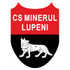 Minerul Lupeni