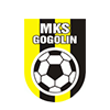 MKS Gogolin