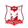Orzel Walcz