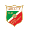 Wola Rzedzinska