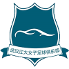 Wuhan Jiangda (W)