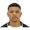 Vinicius Lopes