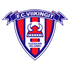 FC Viikingit logo
