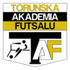 TAF II Torun (W) logo