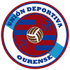 UD Ourense logo