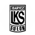Barycz Sulow logo