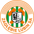 Zaglebie Lubin U19 logo