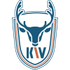 Dalian Kewei logo