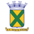 Santo Andre U20 logo