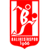 Balikesirspor U21 logo
