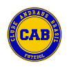 Andraus Brasil logo