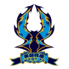 Hangzhou Linping logo