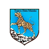 Tygrys Huta Minska